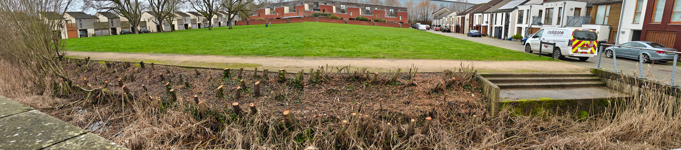 Swales cutting willows